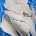 Barramundi Fillet Skin On